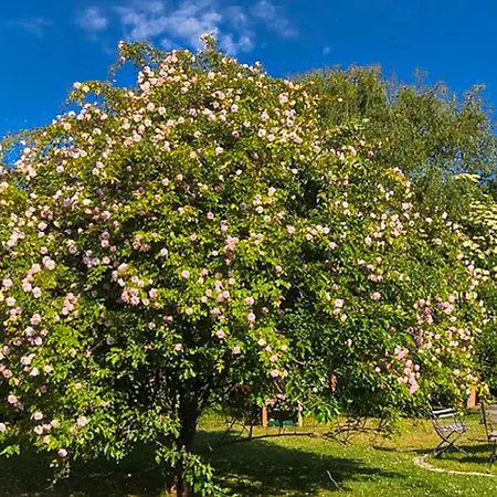 Gaestehaus Karstadt 01 - Rosengarten Appartement